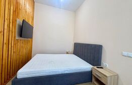Garsonieră 30 mp | Renovată Complet | Zona Centrala & Parcare