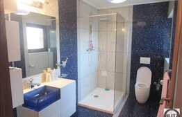 Proprietate exclusivista, ultrafinisata, dotari multiple, zona linistita