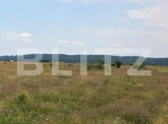 Teren de vânzare Sambata de Sus - 199243TV | BLITZ Brașov | Poza4