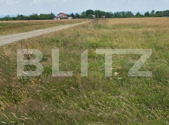 Teren de vânzare Sambata de Sus - 199243TV | BLITZ Brașov | Poza3