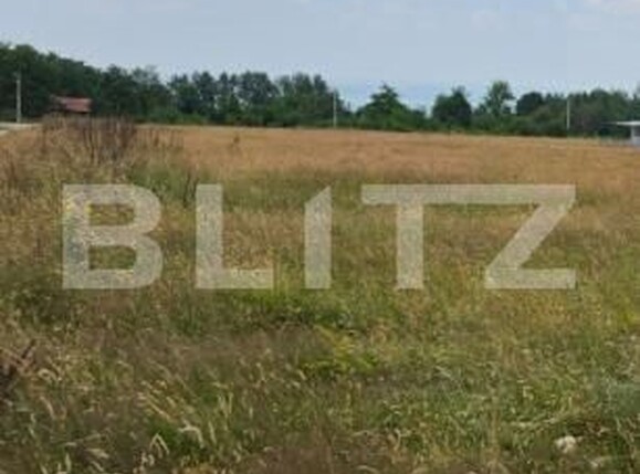 Teren de vânzare Sambata de Sus - 199243TV | BLITZ Brașov | Poza5