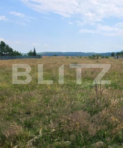 Teren de vânzare Sambata de Sus - 199243TV | BLITZ Brașov | Poza2