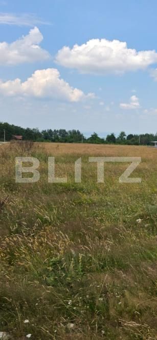 Teren de vânzare Sambata de Sus - 199243TV | BLITZ Brașov | Poza5