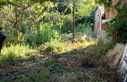 Casa individuala cu 3 camere de inchiriat, 55 mp , Campia Turzii