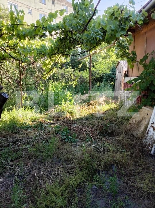 Casa de închiriat 2 camere Câmpia Turzii - 199268CI | BLITZ Cluj-Napoca | Poza6