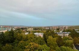 Garsoniera, 30 mp, etaj intermediar, zona Iulius Mall