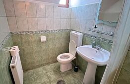 Pensiune + casă pe 5.500 mp, la poalele Munților Făgăraș – Gura-Vaii, Recea