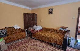 Pensiune + casă pe 5.500 mp, la poalele Munților Făgăraș – Gura-Vaii, Recea