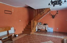 Pensiune + casă pe 5.500 mp, la poalele Munților Făgăraș – Gura-Vaii, Recea