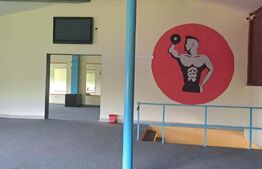 Afacere în Victoria: sală sport cu saună + discotecă, 690 mp, 2.000 mp teren