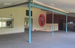 Afacere în Victoria: sală sport cu saună + discotecă, 690 mp, 2.000 mp teren