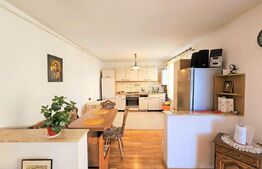 Apartament cu  10 camere, 200 mp, ideal pentru firma cu angajați, zona Borhanci 