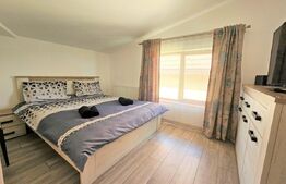 Apartament cu  10 camere, 200mp, ideal pentru firma cu angajați, zona Borhanci 