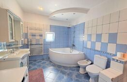 Apartament cu  10 camere, 200 mp, ideal pentru firma cu angajați, zona Borhanci 