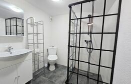 Apartament cu  10 camere, 200 mp, ideal pentru firma cu angajați, zona Borhanci 