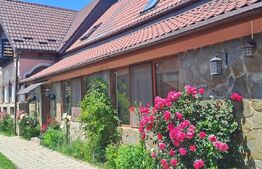 Conac modern cu saună, ciubăr și seră, 1.500 mp grădină – sat Dridif