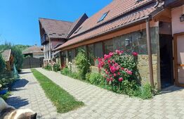 Conac modern cu saună, ciubăr și seră, 1.500 mp grădină – sat Dridif