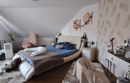 Conac modern cu saună, ciubăr și seră, 1.500 mp grădină – sat Dridif