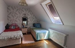 Conac modern cu saună, ciubăr și seră, 1.500 mp grădină – sat Dridif