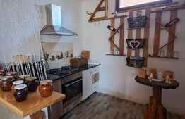 Conac modern cu saună, ciubăr și seră, 1.500 mp grădină – sat Dridif