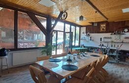 Conac modern cu saună, ciubăr și seră, 1.500 mp grădină – sat Dridif