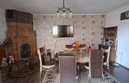 Conac modern cu saună, ciubăr și seră, 1.500 mp grădină – sat Dridif