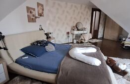 Conac modern cu saună, ciubăr și seră, 1.500 mp grădină – sat Dridif