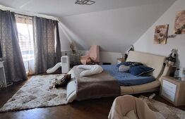 Conac modern cu saună, ciubăr și seră, 1.500 mp grădină – sat Dridif