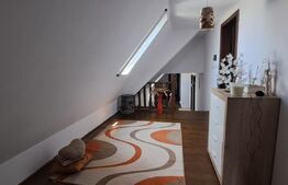 Conac modern cu saună, ciubăr și seră, 1.500 mp grădină – sat Dridif
