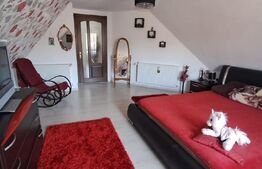 Conac modern cu saună, ciubăr și seră, 1.500 mp grădină – sat Dridif