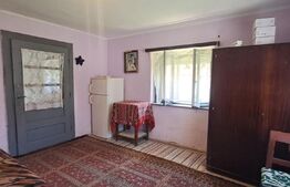 Proprietate cu potențial, casă + șură stejar și livadă - satul cu comori