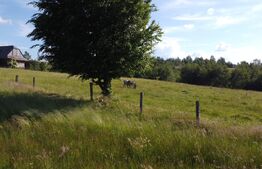 De vanzare teren Rasca - cu o panorama superba!