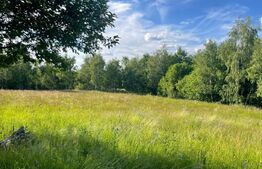 De vanzare teren Rasca - cu o panorama superba!
