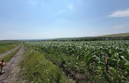 Teren intravilan, 1900 mp, sat Sandulesti 