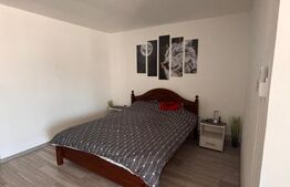 Apartament 1 camera, 45 mp, zona Libertății, Apahida