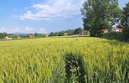 Casă cu teren de 7.020 mp în Lunca Câlnicului – oportunitate excelentă 