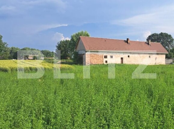 Casa de vânzare 4 camere Lunca Calnicului - 199355CV | BLITZ Brașov | Poza3