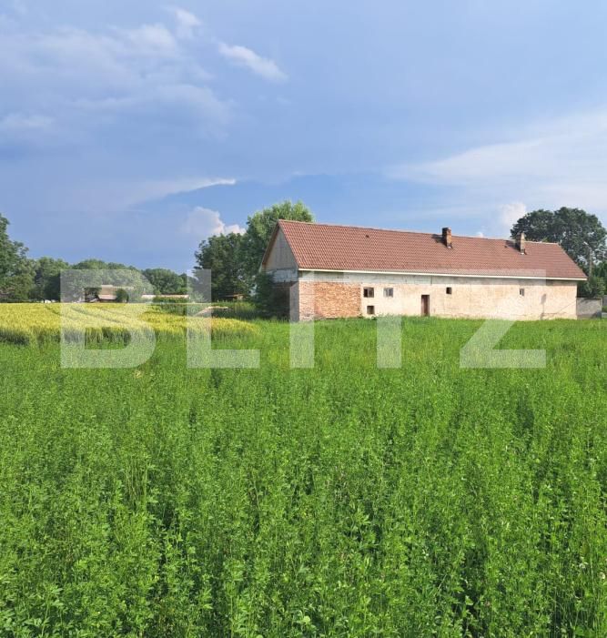 Casa de vânzare 4 camere Lunca Calnicului - 199355CV | BLITZ Brașov | Poza3