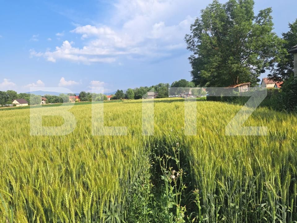 Casa de vânzare 4 camere Lunca Calnicului - 199355CV | BLITZ Brașov | Poza4