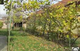 Vanzare casa individuala, 110 mp, 558 mp teren, zona linistita