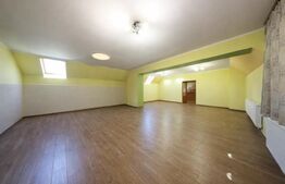 Oportunitate! Spatiu multifunctional cu vizibilitate mare si vad comercial!