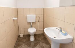 Casă rustică 3 camere, 125 mp, deschidere la Olt – Feldioara, Ucea