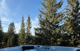 Cabana moderna A-Frame, jacuzzi, regim hotelier