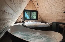 Cabana moderna A-Frame, jacuzzi, regim hotelier