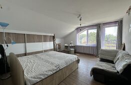Proprietate specială Câmpia Turzii: Vilă 280 mp, cu teren 1450 mp