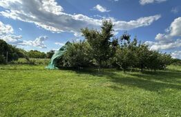 Proprietate specială Câmpia Turzii: Vilă 280 mp, cu teren 1450 mp