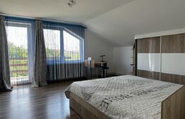 Proprietate specială Câmpia Turzii: Vilă 280 mp, cu teren 1450 mp