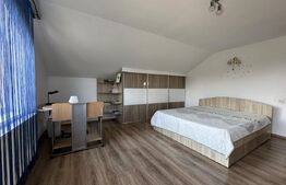 Proprietate specială Câmpia Turzii: Vilă 280 mp, cu teren 1450 mp