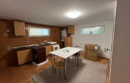 Apartament, 131 mp, spatios, terasa, zona Someseni