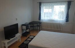 Garsoniera, 20 mp, pet friendly, zona strazii Migdalului